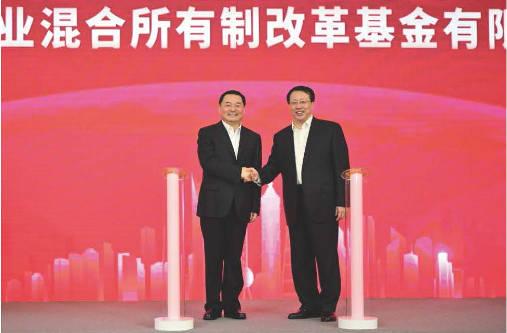 混合所有権改革基金